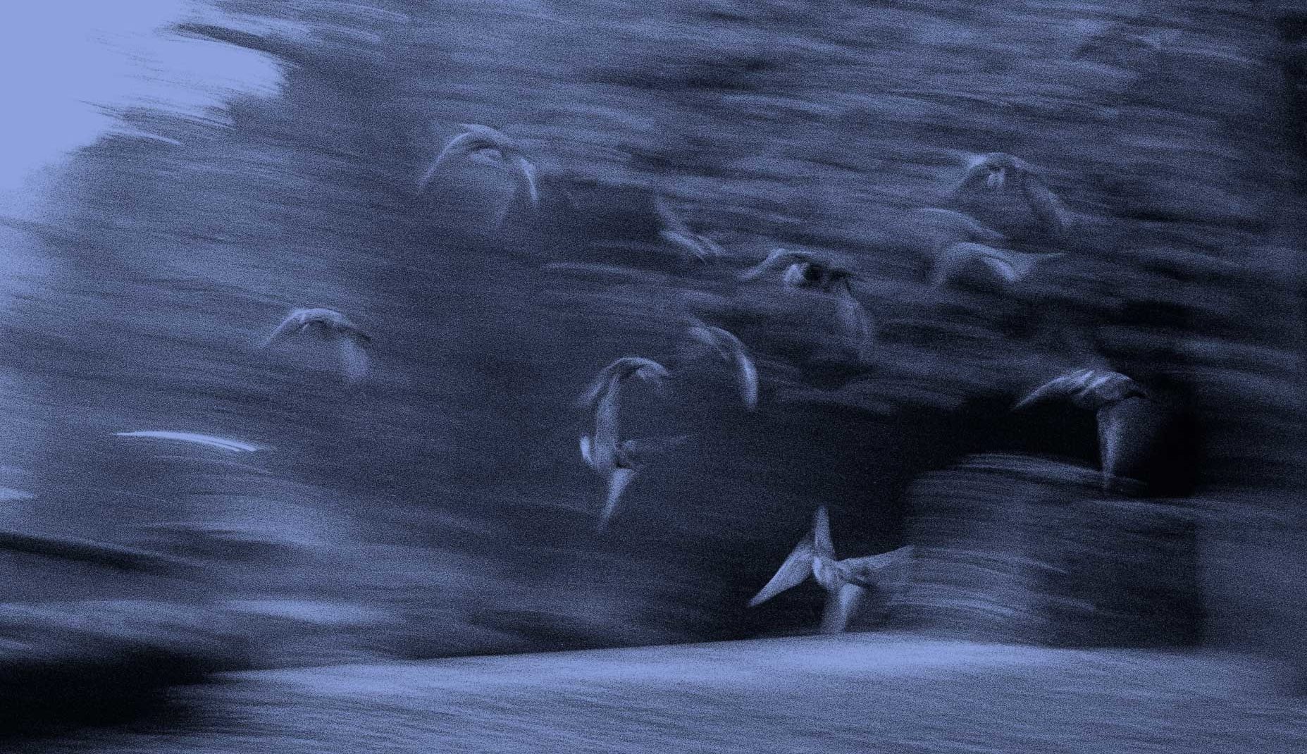 Jean Pierre Nicola Fondateur De L Astrologie Conditionaliste Pour Une Astrologie Moderne